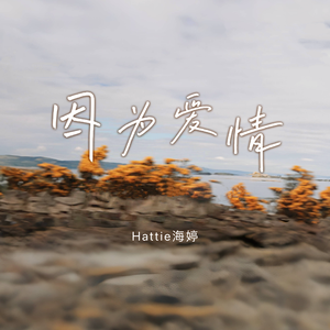 久久成人18免费网站
